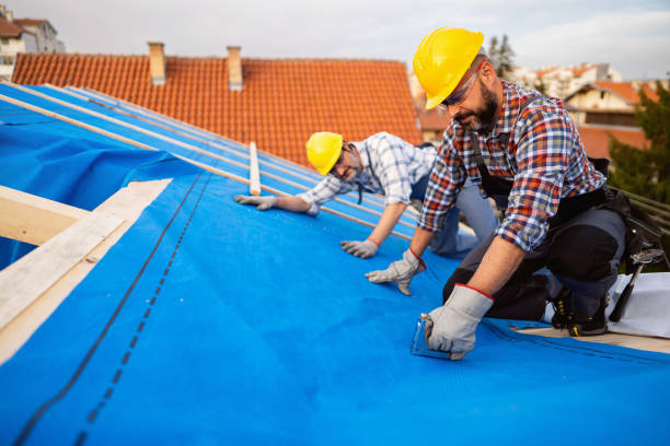 Best Emergency Roof Repair  in Ridgeway, VA