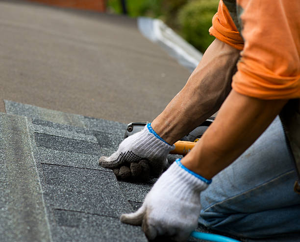 Best Roof Inspection Near Me  in Ridgeway, VA