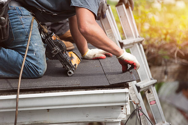 Best Metal Roofing Contractor  in Ridgeway, VA